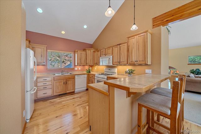 51 Cedar Lane, Bailey, CO 80421