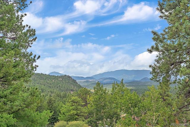 51 Cedar Lane, Bailey, CO 80421