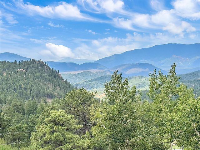 51 Cedar Lane, Bailey, CO 80421