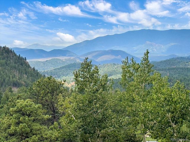 51 Cedar Lane, Bailey, CO 80421