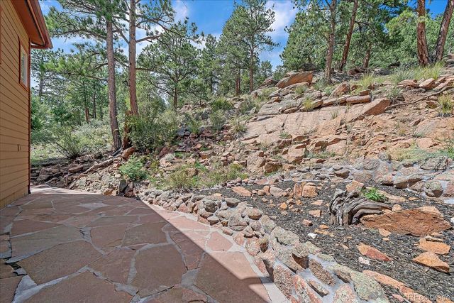 51 Cedar Lane, Bailey, CO 80421