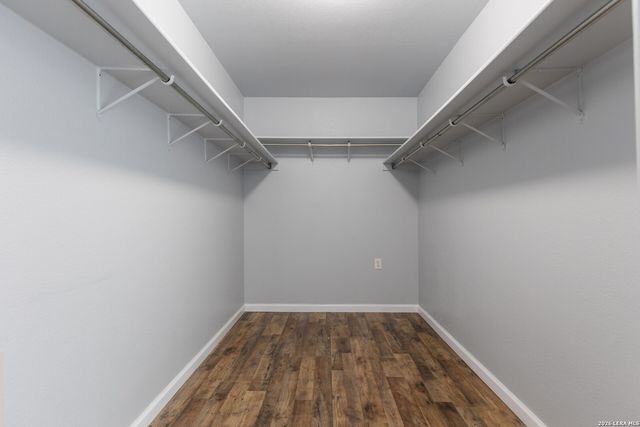 54 LONGLEAF CORAL, San Antonio, TX 78247