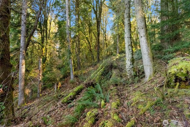 0 Talmo Drive NW, Gig Harbor, WA 98332