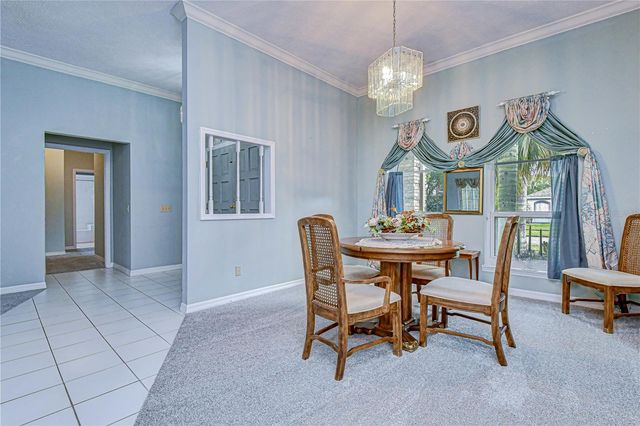 3006 DRAKES LANDING COURT, Valrico, FL 33596