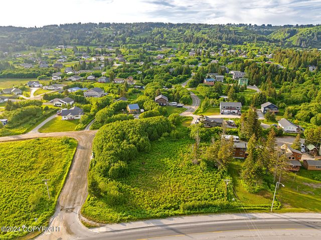 3658 Forest Glen Drive, Homer, AK 99603