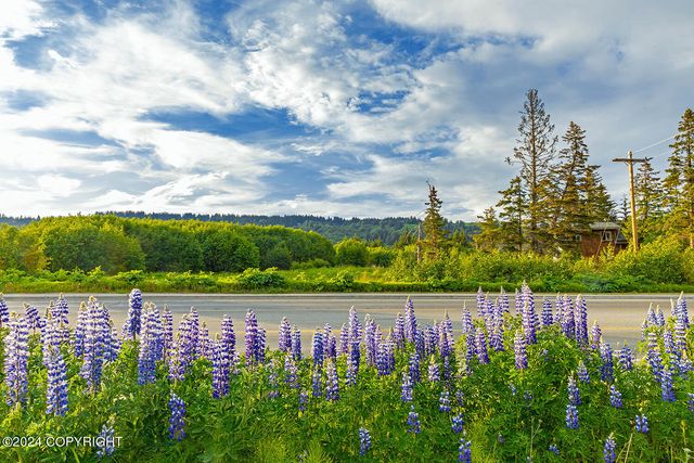 3658 Forest Glen Drive, Homer, AK 99603