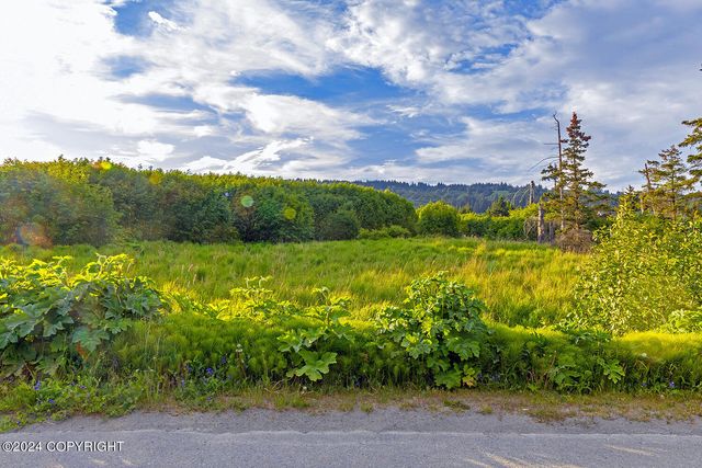 3658 Forest Glen Drive, Homer, AK 99603