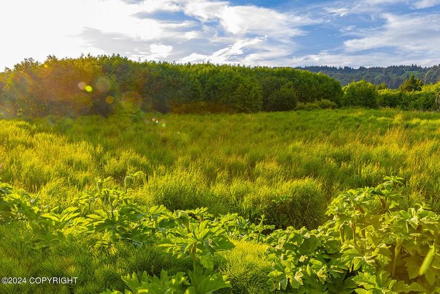 3658 Forest Glen Drive, Homer, AK 99603