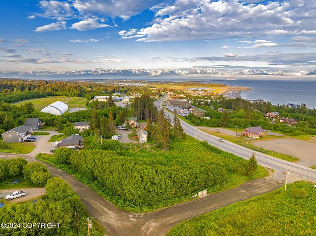 3658 Forest Glen Drive, Homer, AK 99603