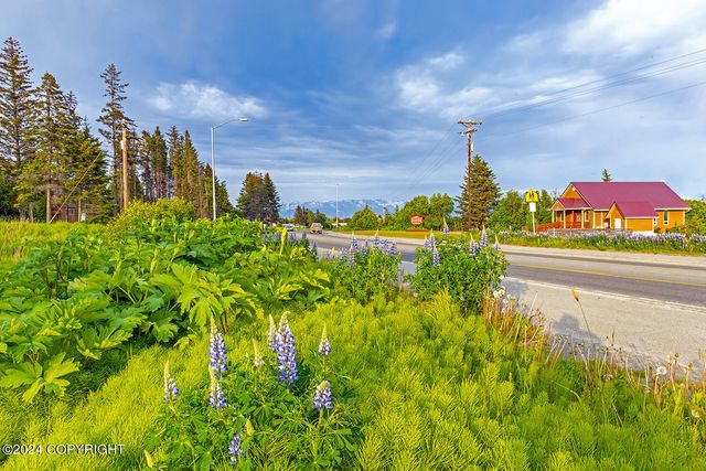 3658 Forest Glen Drive, Homer, AK 99603