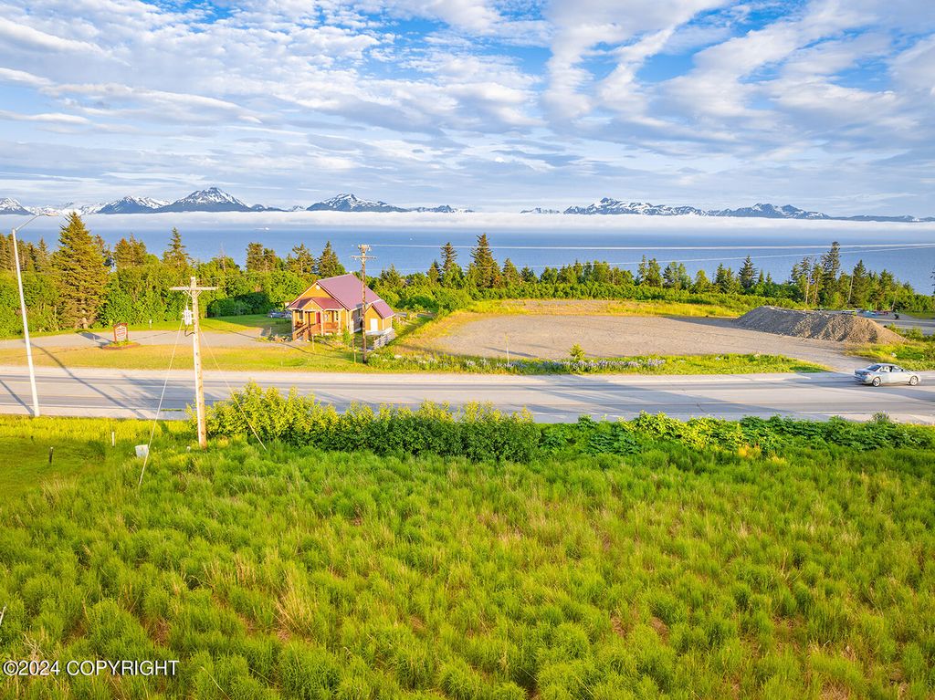 3658 Forest Glen Drive, Homer, AK 99603