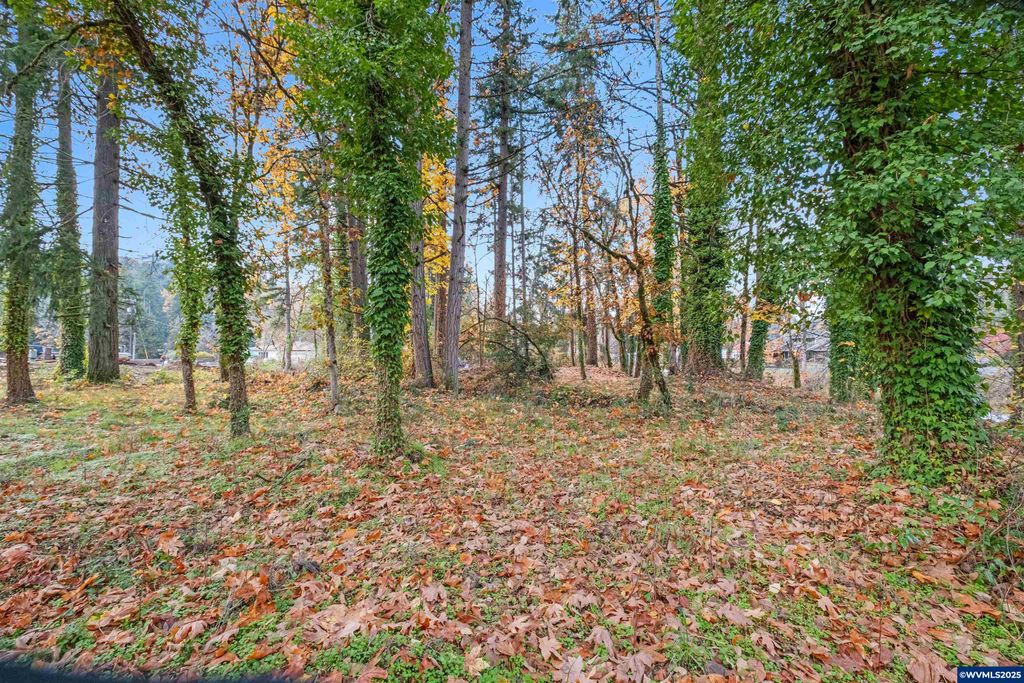 Image 5 of property listing at 17857 Sounth Abiqua Rd NE, Silverton, OR 97381