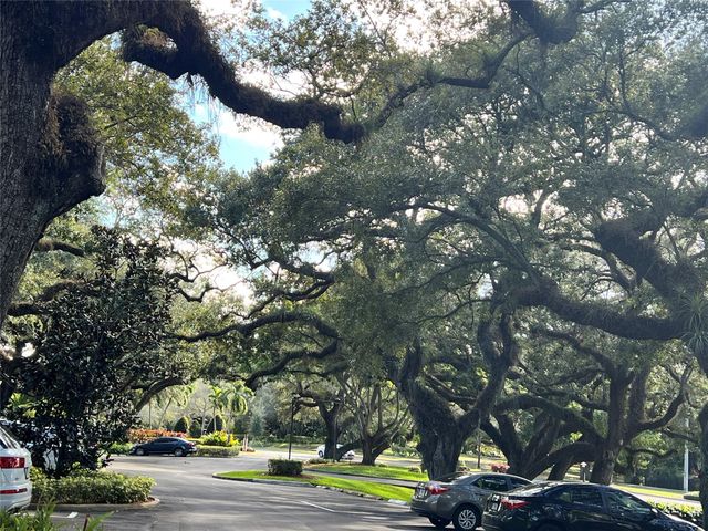 9101 SW 19th Place B, Davie, FL 33324