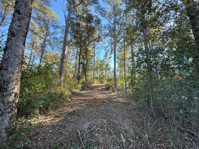 00 Wrights Mill Road, Aiken, SC 29801