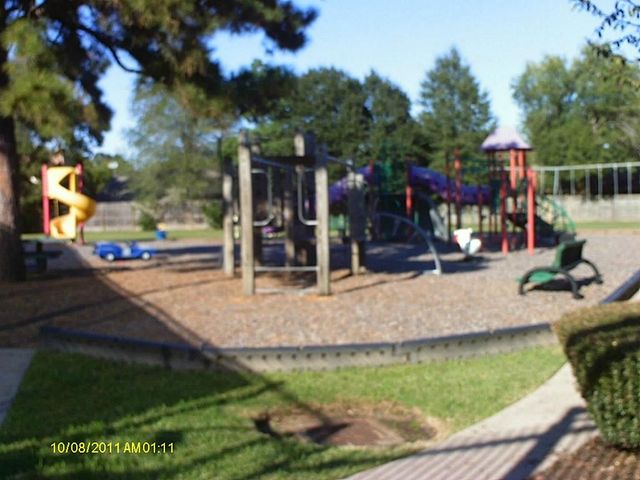 17507 Colony Creek Drive, Spring, TX 77379