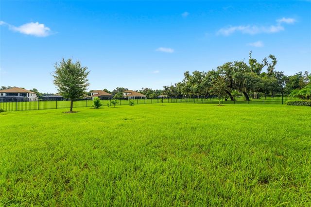 10370 MEADOWRUN DRIVE, Lithia, FL 33547