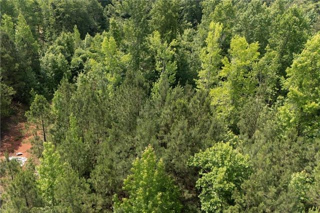 0 Ono Road, Palmetto, GA 30268