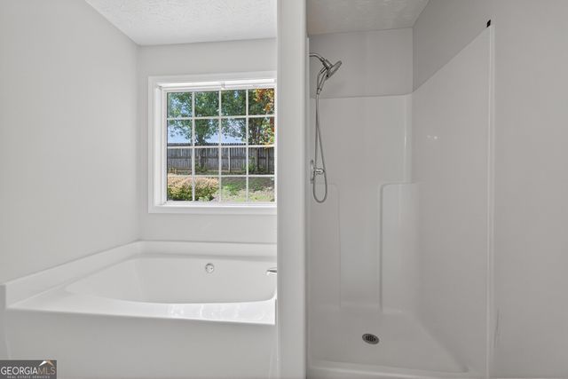 1758 Miller Springs Drive, Bethlehem, GA 30620