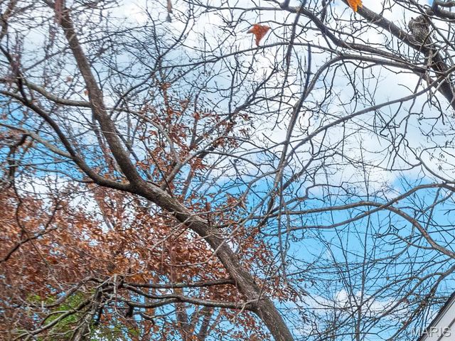 22 N Iola Drive, St Louis, MO 63119