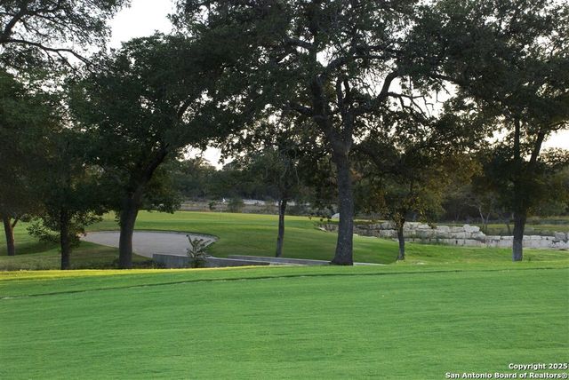 217 Peter Kleid Loop, Blanco, TX 78606