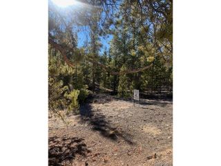 180 Peak View Dr, Leadville, CO 81251