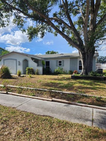 1003 PAPAYA DRIVE, Tampa, FL 33619