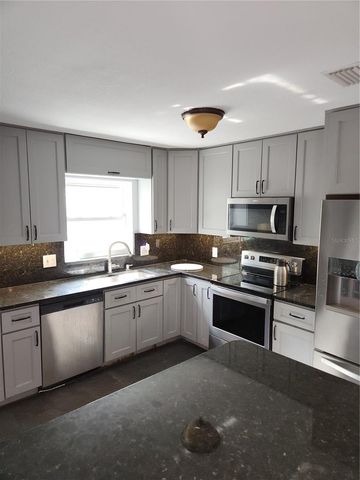 1003 PAPAYA DRIVE, Tampa, FL 33619