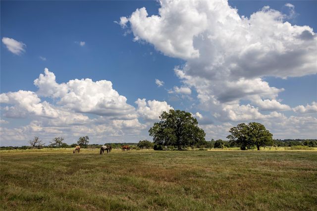 TBD County Road 315, Lexington, TX 78947