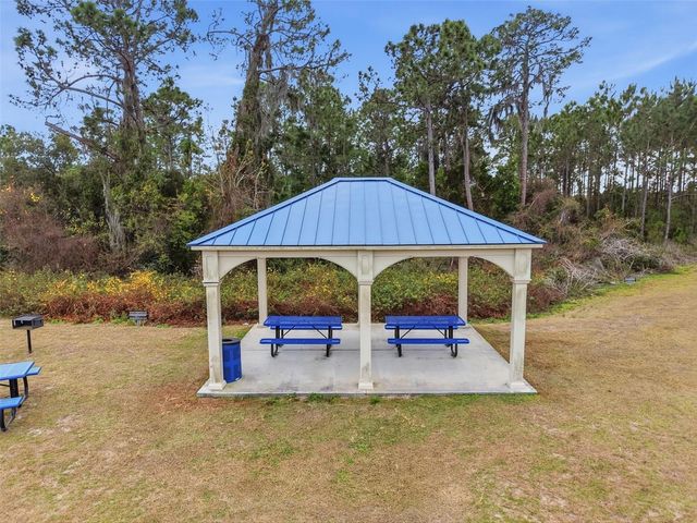 12058 CALLICARPA LANE, Leesburg, FL 34788