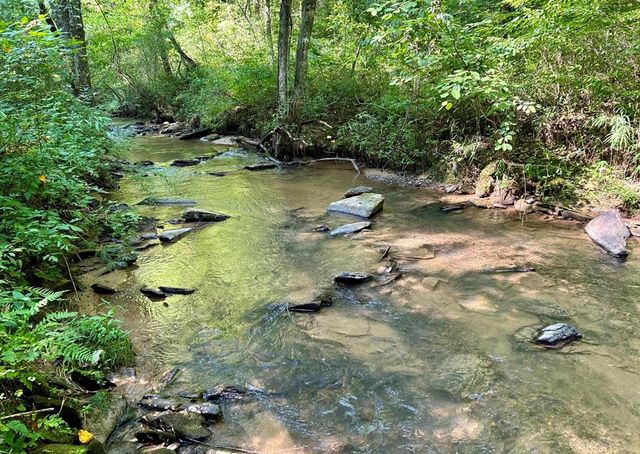 138 Rhondas Way, Ellijay, GA 30540