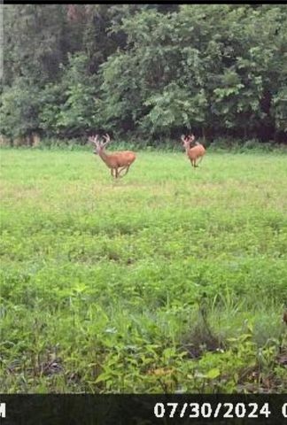 31 Acres N Center Point Road, Center Point, IA 52213