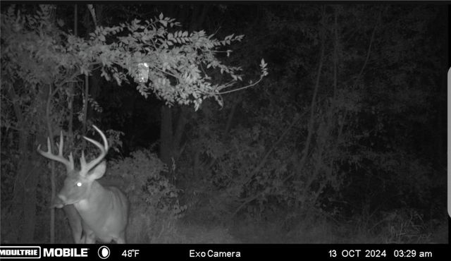 31 Acres N Center Point Road, Center Point, IA 52213