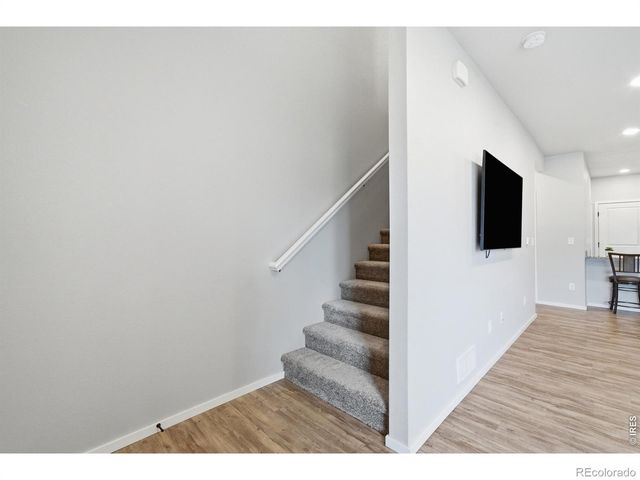 3642 Ronald Reagan Avenue, Wellington, CO 80549