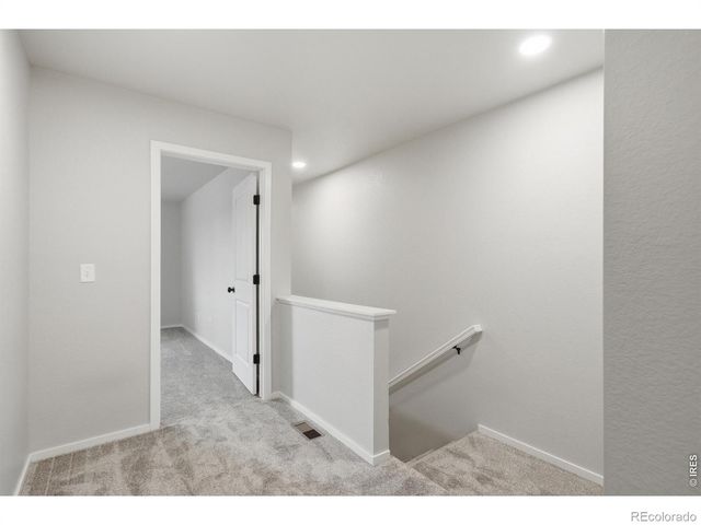 3642 Ronald Reagan Avenue, Wellington, CO 80549