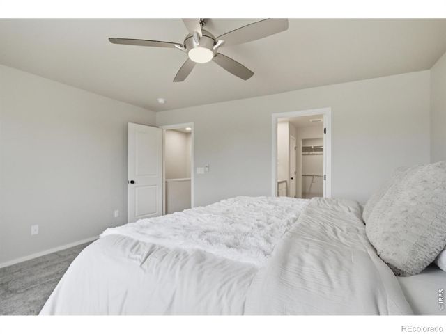 3642 Ronald Reagan Avenue, Wellington, CO 80549