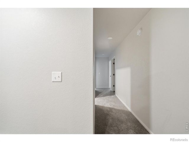 3642 Ronald Reagan Avenue, Wellington, CO 80549