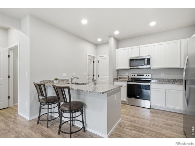 3642 Ronald Reagan Avenue, Wellington, CO 80549