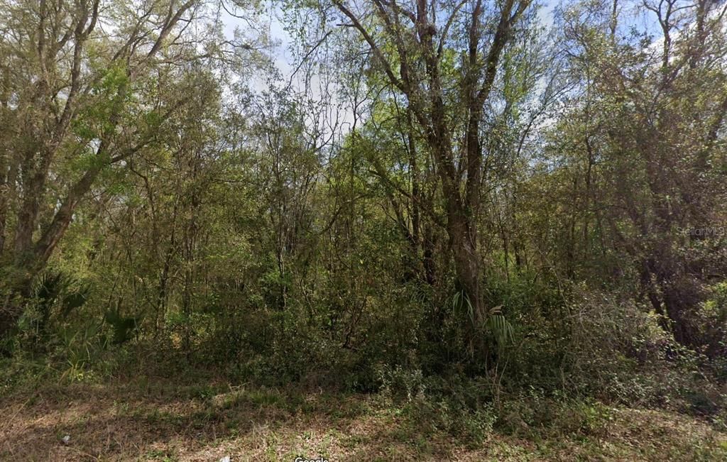 ANNETTE, Interlachen, FL 32148