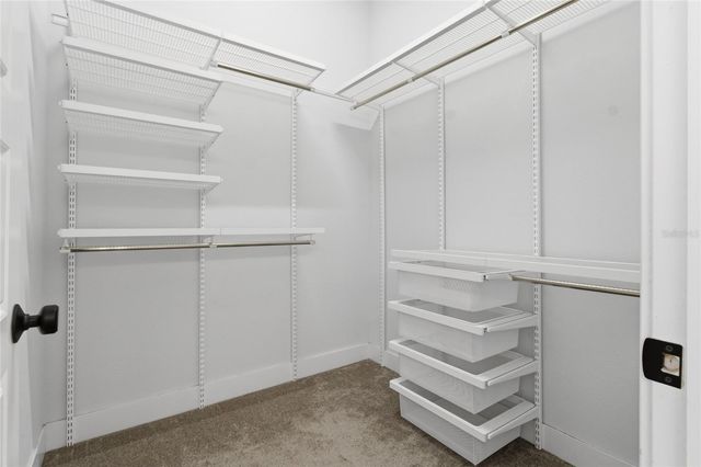 11227 MOULTRIE PLACE, Tampa, FL 33625