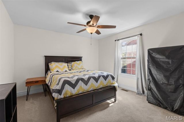 3923 McRee Avenue, St Louis, MO 63110