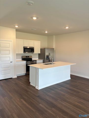 122 Betty Williams Drive, Madison, AL 35756
