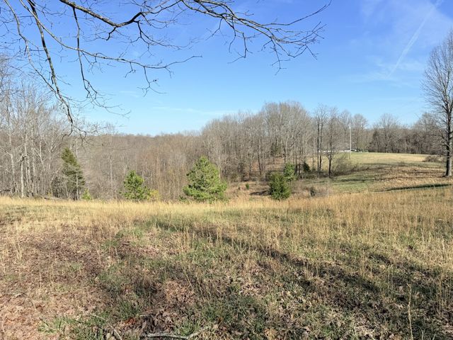 199 R B K Ln, Bethpage, TN 37022