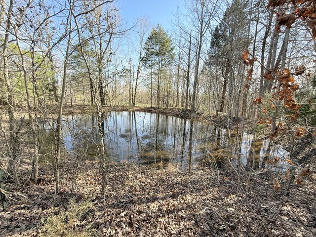 199 R B K Ln, Bethpage, TN 37022