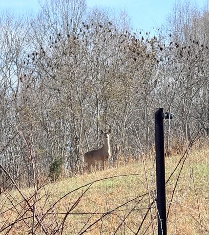 199 R B K Ln, Bethpage, TN 37022