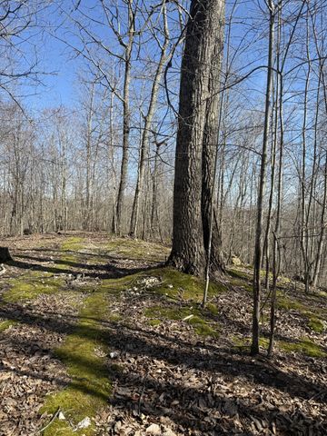 199 R B K Ln, Bethpage, TN 37022