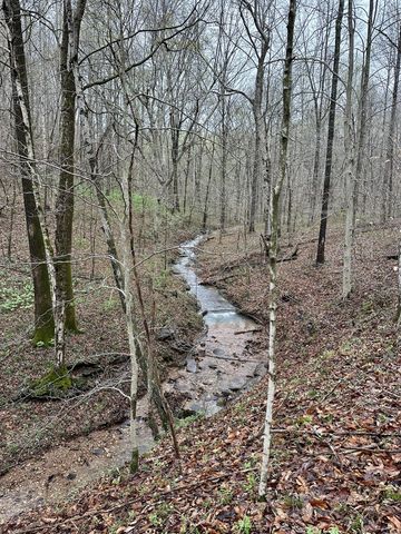 199 R B K Ln, Bethpage, TN 37022