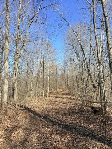 199 R B K Ln, Bethpage, TN 37022