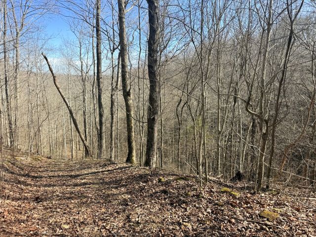 199 R B K Ln, Bethpage, TN 37022