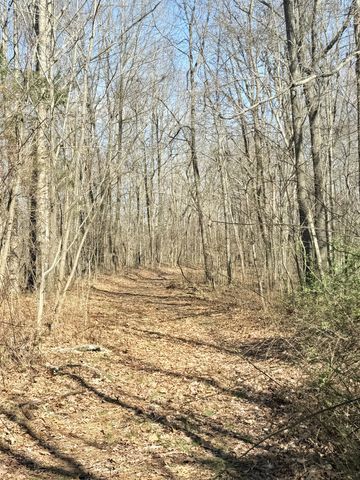 199 R B K Ln, Bethpage, TN 37022