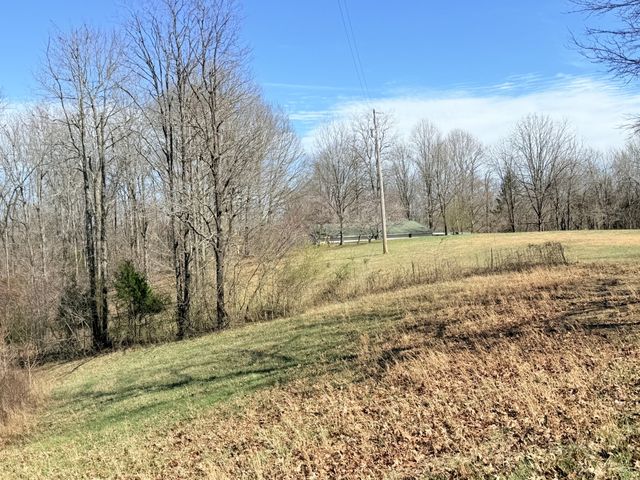 199 R B K Ln, Bethpage, TN 37022